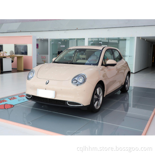 Changcheng-Ora Good Cat EV Parti EV Sospensione MAT TRIPILE KIT CORPO 500 CONSOLE GWM Auto Electric Auto Electric
